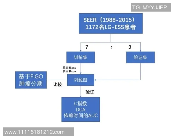 数据模型解析：预测巴黎胜率及其背后的影响因素