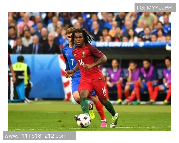 欧洲杯赛场气氛与观众参与感提升方案 欧洲杯赛场气氛与观众参与感提升方案